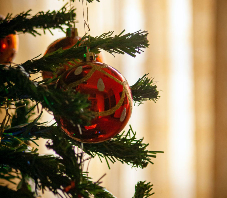 How to Find Affordable and Gorgeous Christmas Trees