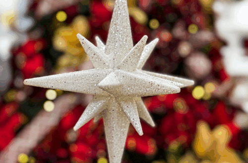 Find the Best Deals on Realistic Artificial Christmas Trees